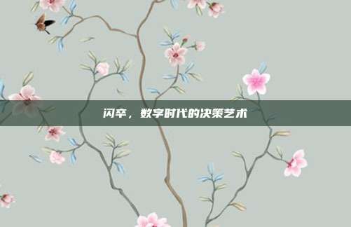 闪卒,数字时代的决策艺术