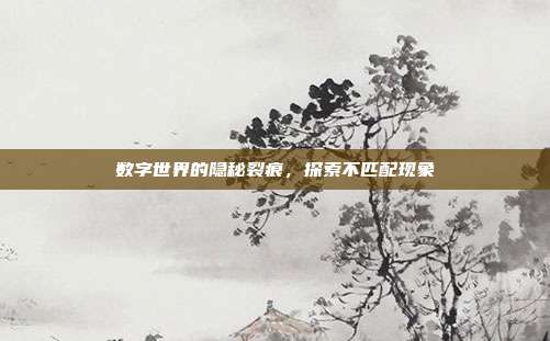 数字世界的隐秘裂痕,探索不匹配现象