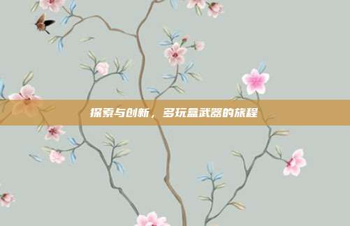 探索与创新,多玩盒武器的旅程