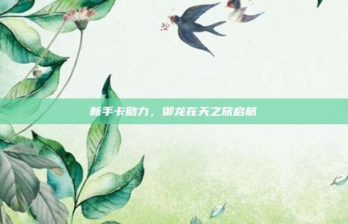 新手卡助力,御龙在天之旅启航
