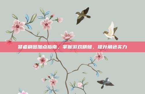 贤者刷图加点指南,掌握游戏精髓,提升角色实力