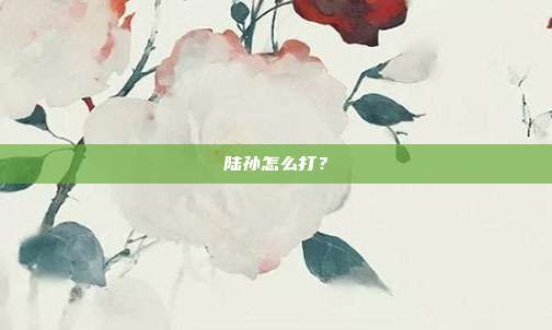 陆孙怎么打?