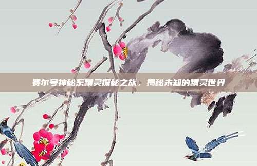 赛尔号神秘系精灵探秘之旅,揭秘未知的精灵世界