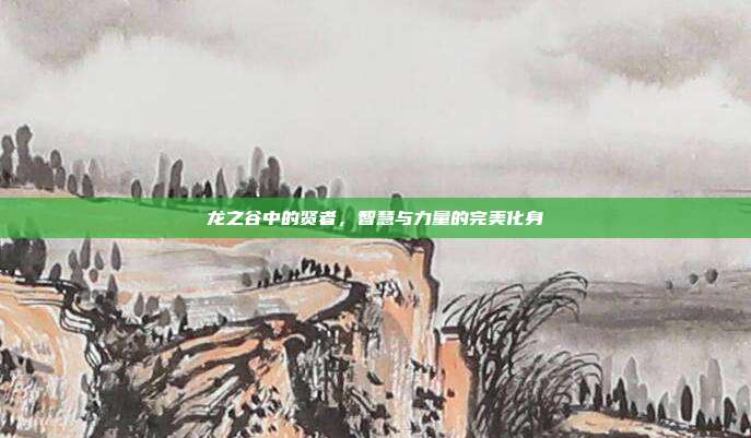 龙之谷中的贤者,智慧与力量的完美化身