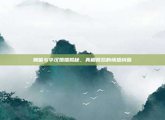 姚笛与华汉婚姻揭秘,真相背后的情感纠葛
