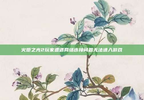 火炬之光2玩家遭遇网络连接问题无法进入游戏
