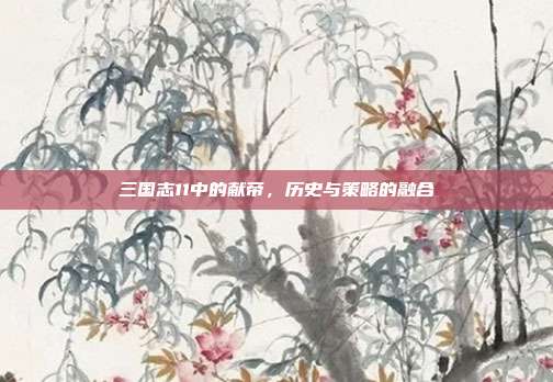三国志11中的献帝,历史与策略的融合