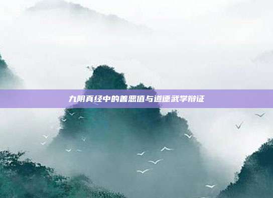九阴真经中的善恶值与道德武学辩证