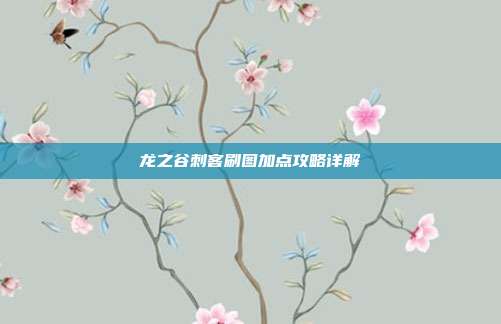 龙之谷刺客刷图加点攻略详解