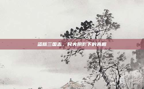 盗版三国志,民夫阴影下的真相