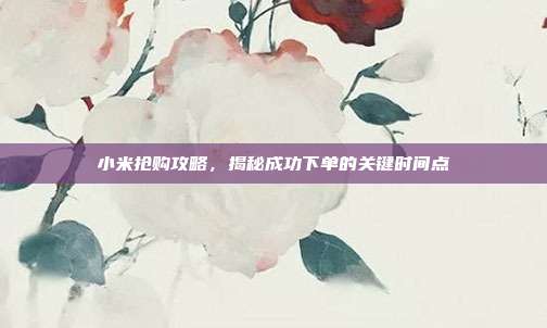 小米抢购攻略,揭秘成功下单的关键时间点