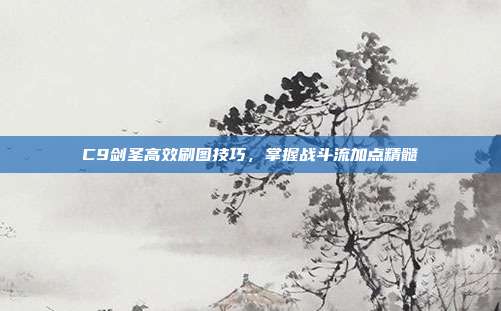 C9剑圣高效刷图技巧,掌握战斗流加点精髓