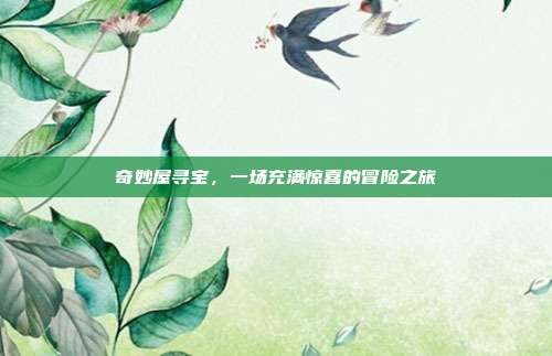 奇妙屋寻宝,一场充满惊喜的冒险之旅