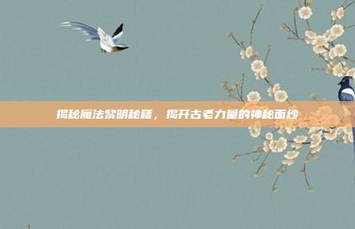 揭秘魔法黎明秘籍,揭开古老力量的神秘面纱