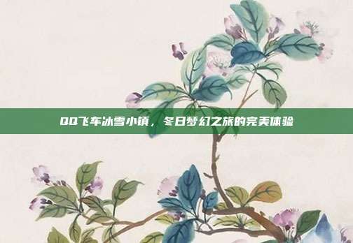 QQ飞车冰雪小镇,冬日梦幻之旅的完美体验