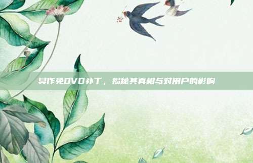 臭作免DVD补丁,揭秘其真相与对用户的影响