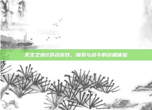 无主之地2命名游戏,探索与战斗的终极体验