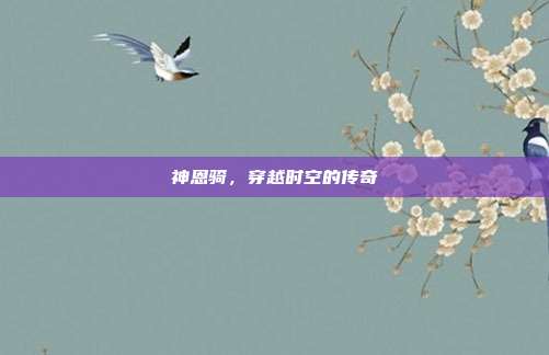 神恩骑,穿越时空的传奇