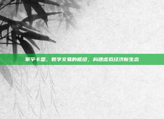 擎宇卡盟,数字交易的枢纽,构建虚拟经济新生态