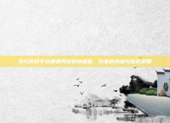 浩方游戏平台遭遇网络连接难题,玩家的挑战与应对策略