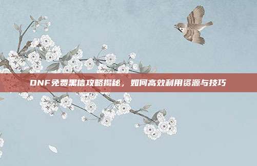 DNF免费黑信攻略揭秘,如何高效利用资源与技巧