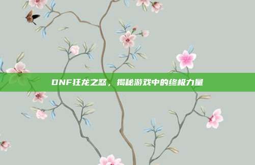 DNF狂龙之怒,揭秘游戏中的终极力量