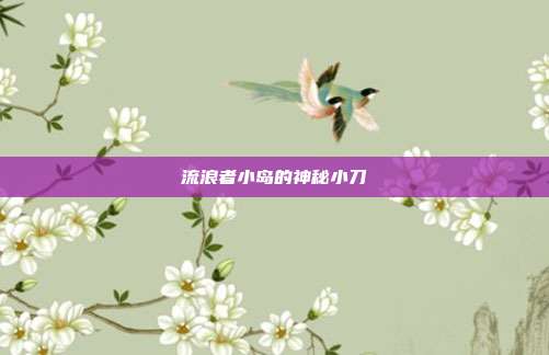流浪者小岛的神秘小刀