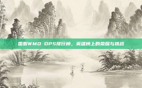国服WMO DPS排行榜,英雄榜上的荣耀与挑战