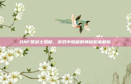 DNF驱剑士揭秘,游戏中隐藏的神秘职业解析