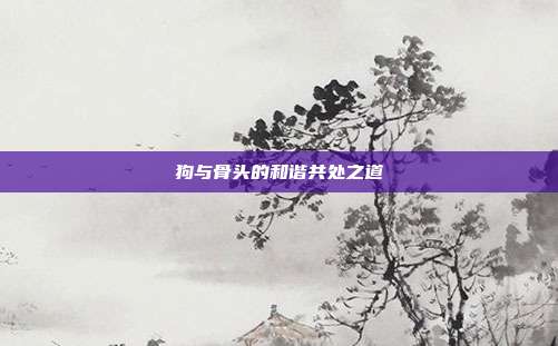 狗与骨头的和谐共处之道