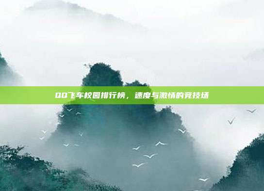 QQ飞车校园排行榜,速度与激情的竞技场