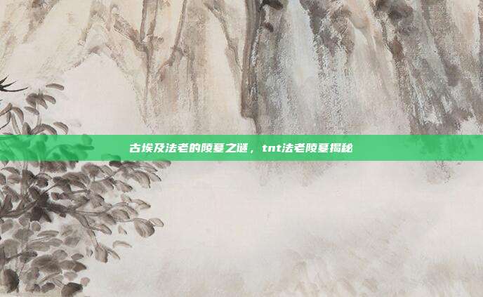 古埃及法老的陵墓之谜,tnt法老陵墓揭秘