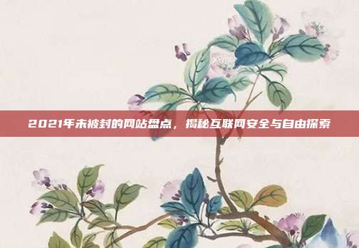 2021年未被封的网站盘点,揭秘互联网安全与自由探索