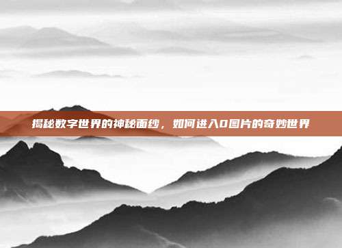 揭秘数字世界的神秘面纱,如何进入0图片的奇妙世界