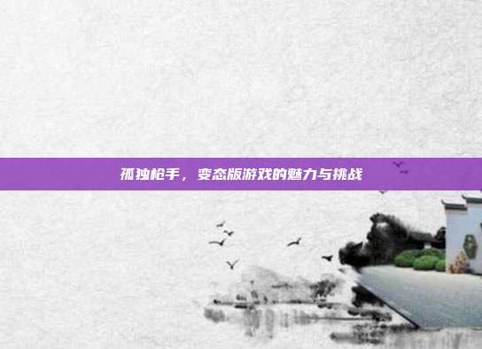 孤独枪手,变态版游戏的魅力与挑战
