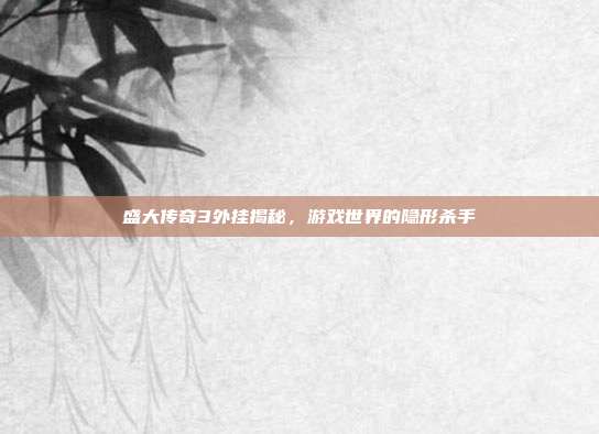 盛大传奇3外挂揭秘,游戏世界的隐形杀手