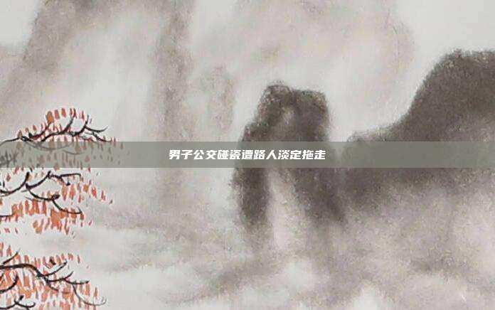 男子公交碰瓷遭路人淡定拖走