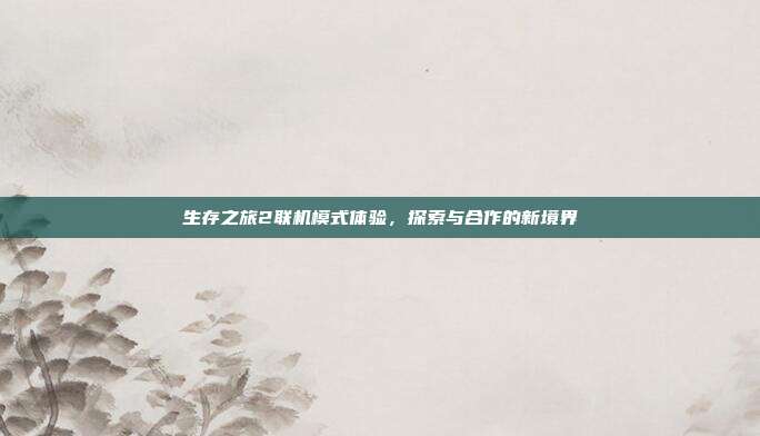生存之旅2联机模式体验,探索与合作的新境界