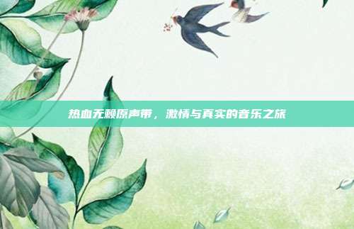 热血无赖原声带,激情与真实的音乐之旅