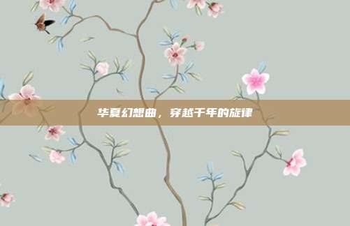 华夏幻想曲,穿越千年的旋律