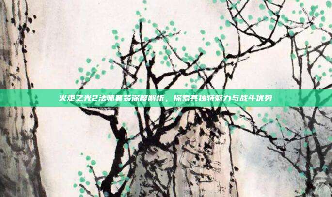 火炬之光2法师套装深度解析,探索其独特魅力与战斗优势
