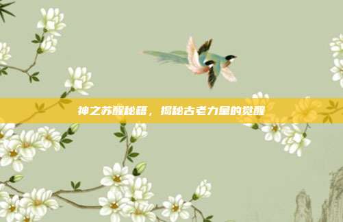 神之苏醒秘籍,揭秘古老力量的觉醒