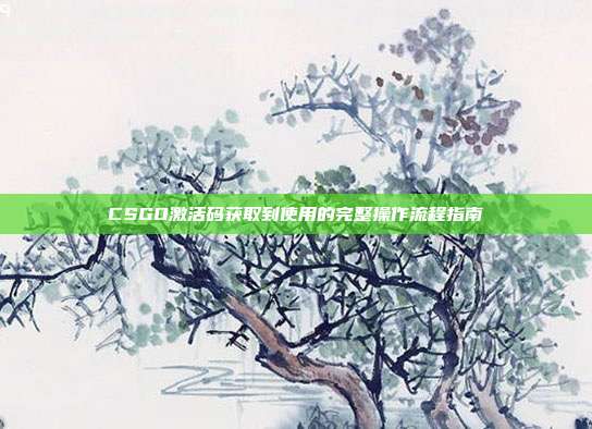 CSGO激活码获取到使用的完整操作流程指南