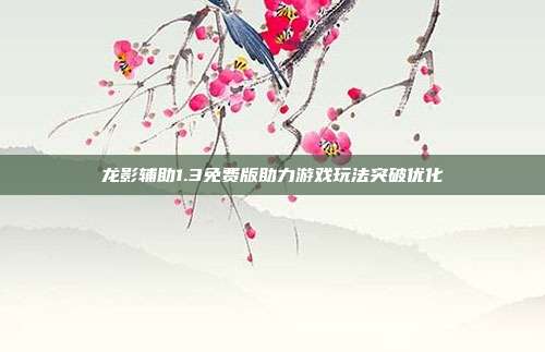 龙影辅助1.3免费版助力游戏玩法突破优化