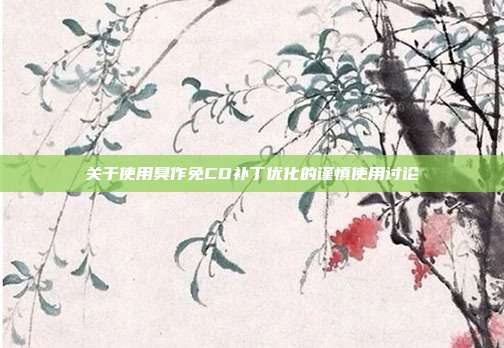 关于使用臭作免CD补丁优化的谨慎使用讨论