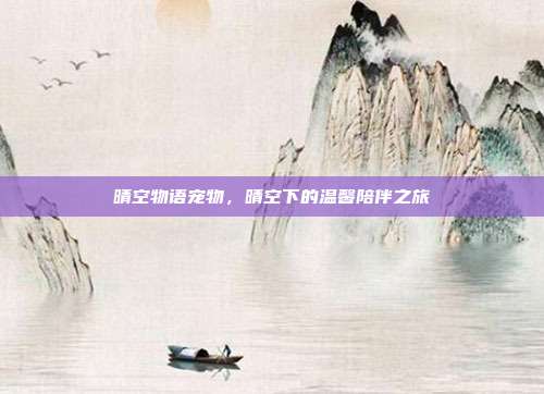 晴空物语宠物,晴空下的温馨陪伴之旅