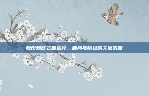 隐形刺客装备选择,破局与精进的关键策略