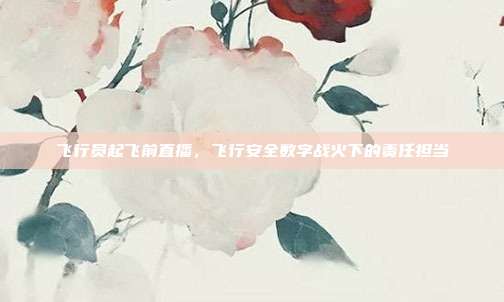 飞行员起飞前直播,飞行安全数字战火下的责任担当