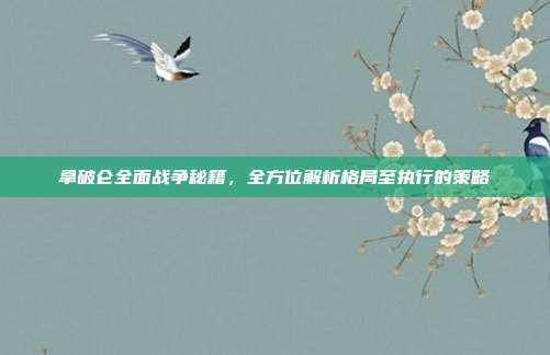 拿破仑全面战争秘籍,全方位解析格局至执行的策略