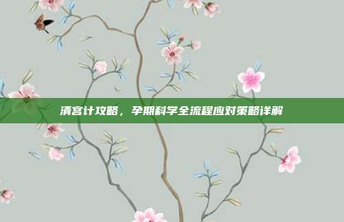 清宫计攻略,孕期科学全流程应对策略详解